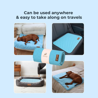 SOLCARE Dog Cooling Pad