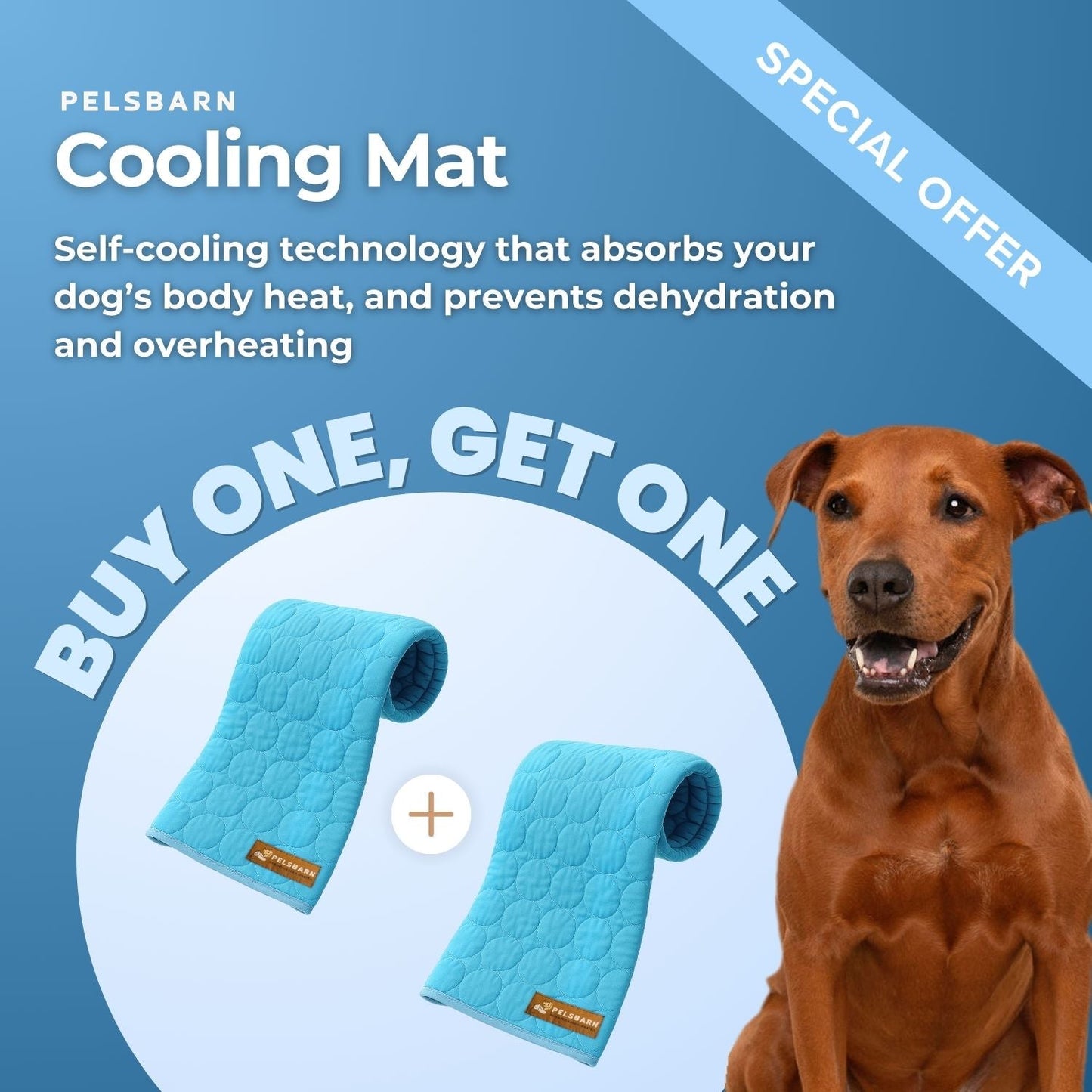 SOLCARE Dog Cooling Pad