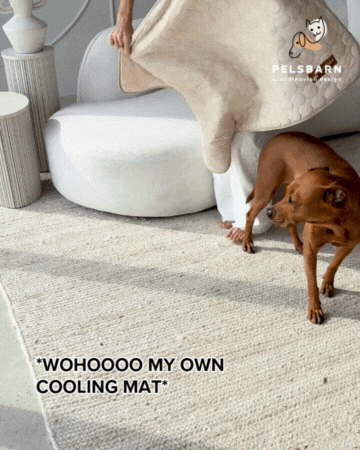SOLCARE Dog Cooling Pad