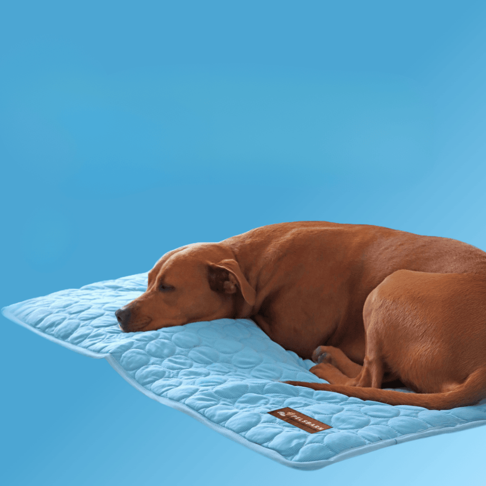 SOLCARE Dog Cooling Pad