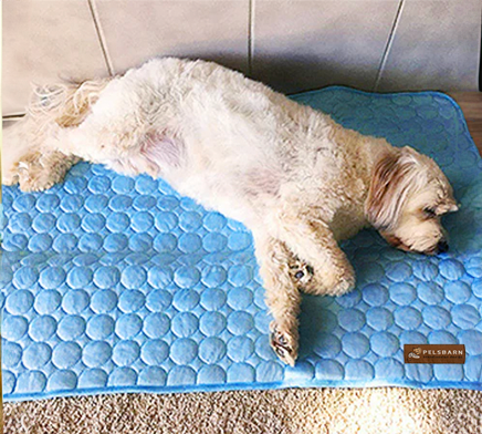 SOLCARE Dog Cooling Pad